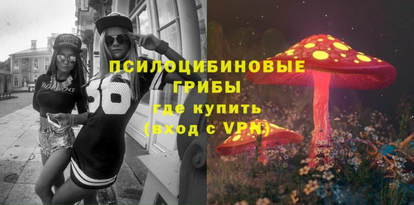 прущий лед Михайлов