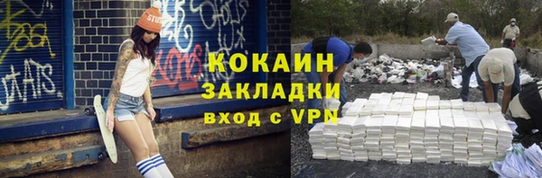 тгк Абаза