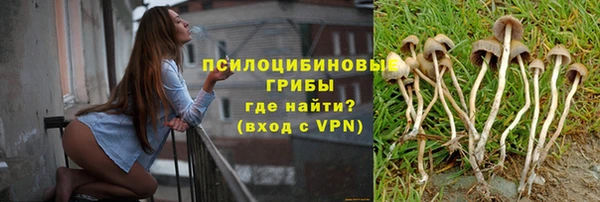 тгк Абаза
