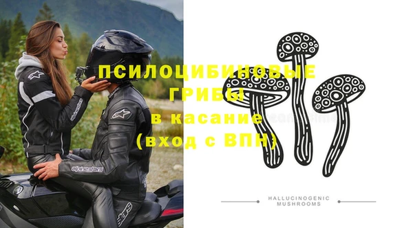 PSILOCYBIN Михайловка
