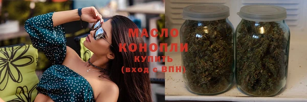 тгк Абаза