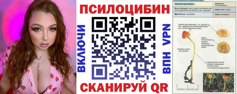 ОМГ ОМГ сайт  Красный Сулин  Псилоцибиновые грибы Psilocybine cubensis 