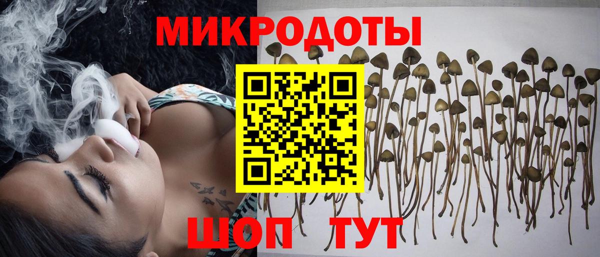 Псилоцибиновые грибы мухоморы  Вход с VPN  цена наркотик  Красный Сулин 