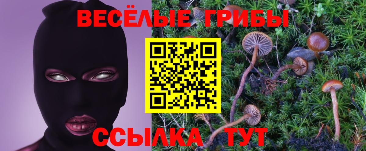 Псилоцибиновые грибы ЛСД Красный Сулин